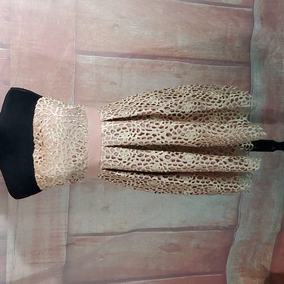 Minuet Strapless Pink and Cream Dress - Picture 1 of 8